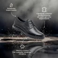 Vestir Hush Puppies Negro Bono