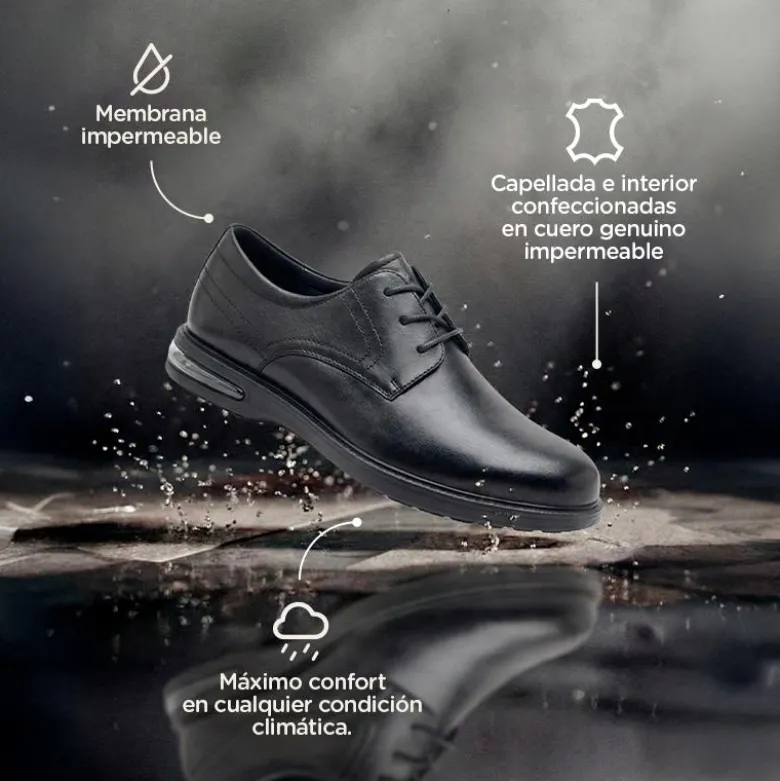 Vestir Hush Puppies Negro Bono